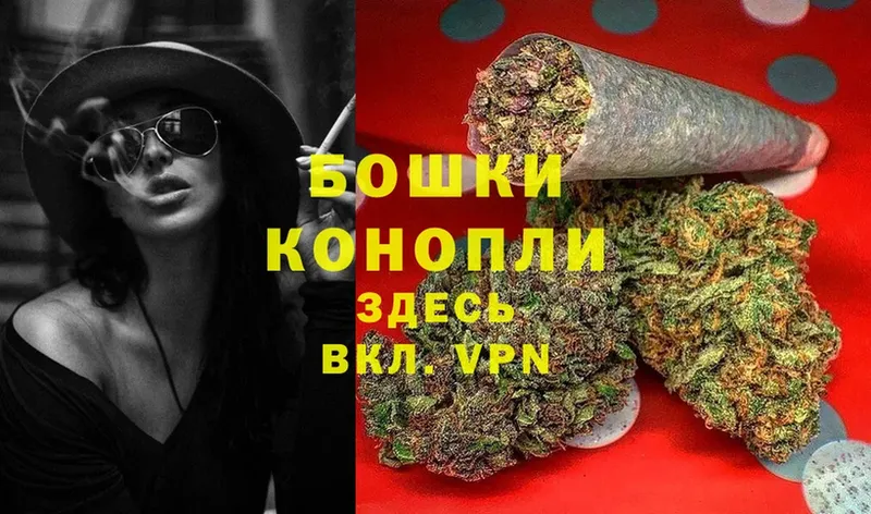 Бошки Шишки конопля  сколько стоит  Димитровград 